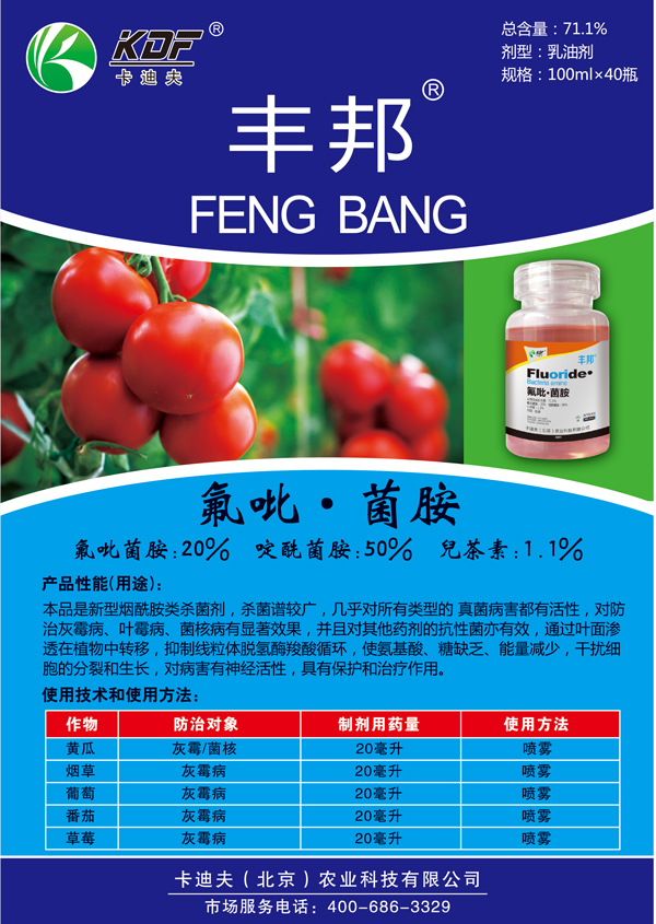 丰邦-宣传页.jpg