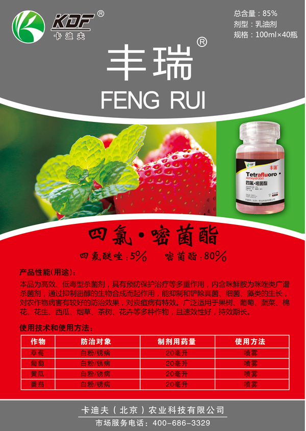 丰瑞-宣传页.jpg