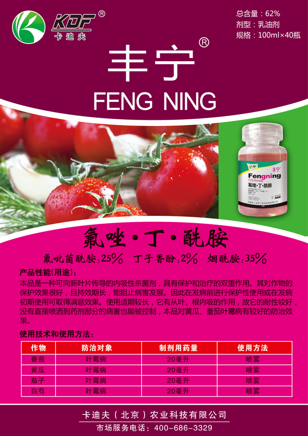 丰宁-宣传页.jpg