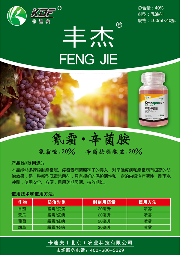 丰杰-宣传页.jpg