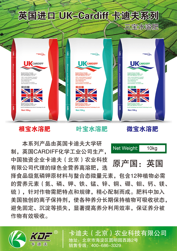 三宝系列-宣传页-正.jpg