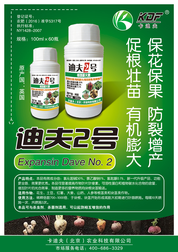 迪夫2号-宣传页.jpg
