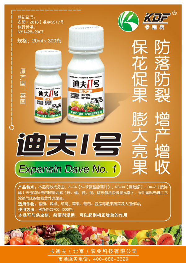 迪夫1号-宣传页.jpg
