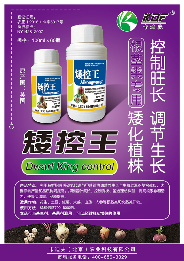 矮控王-宣传页.jpg