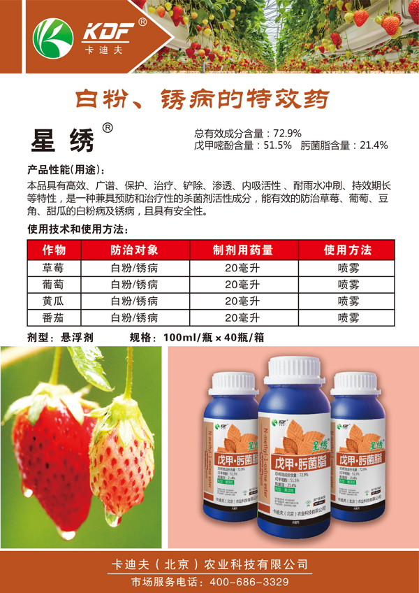 星绣-宣传页.jpg