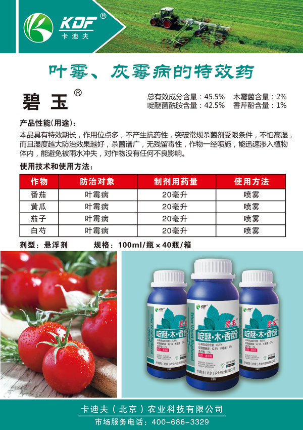 碧玉-宣传页.jpg