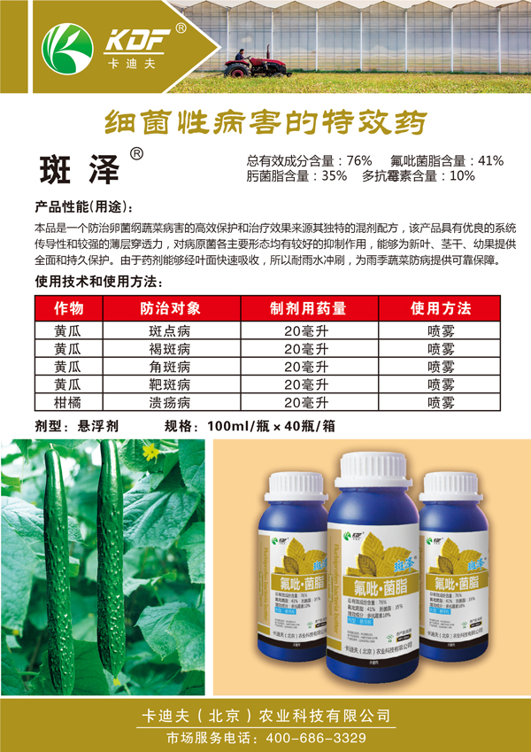 斑泽-宣传页.jpg