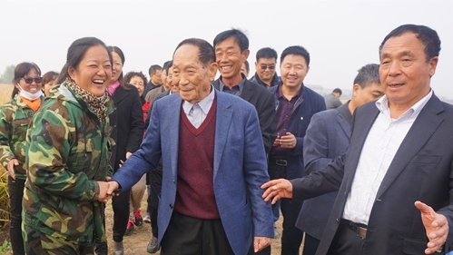 邯郸“超级稻”再创世界纪录 袁隆平亲临测产现场.jpg.thumb.jpg