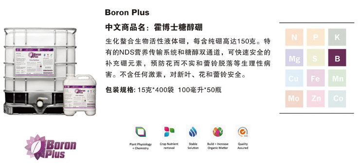 3.png