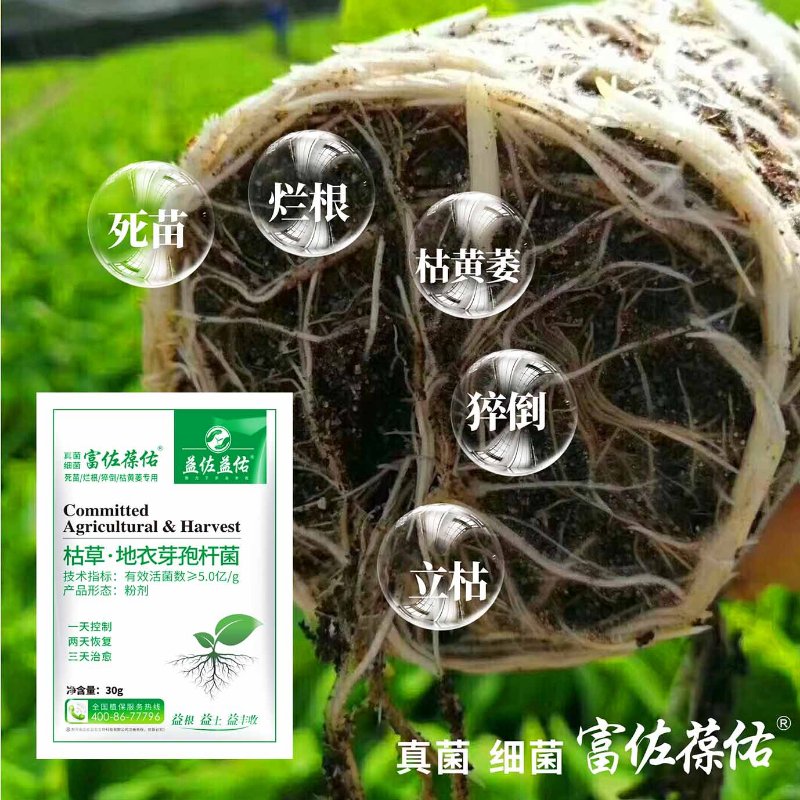 微信图片_202004030840443.jpg
