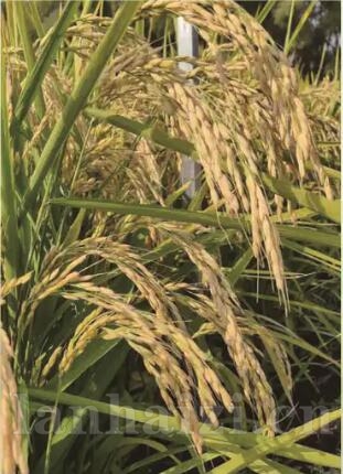 é??é??10??·   é|??23?¨?  ?°′?¨??§??-?