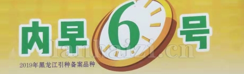 ??????6??·--????±3?§??-?