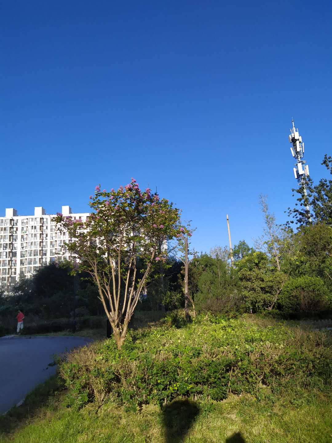 微信图片_20200902080102.jpg