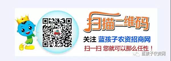 公众号.jpg 公众号.jpg