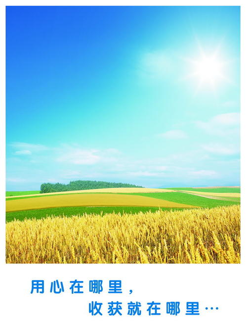 下载.jpg 下载.jpg