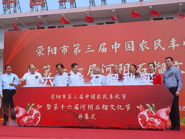 一个石榴拍出近3万！河南荥阳这7个石榴共拍得11.5万元