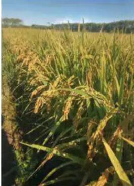 ?§??±?1??· ?23?¨?????§?