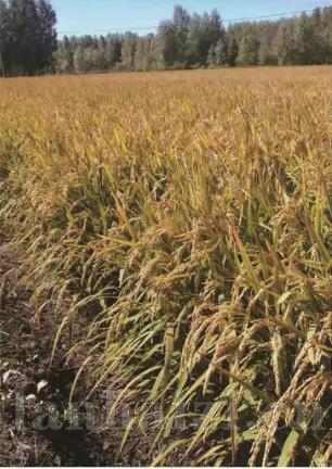 é??é??é|?1??· é|??23?¨? ?°′?¨??§??-? 