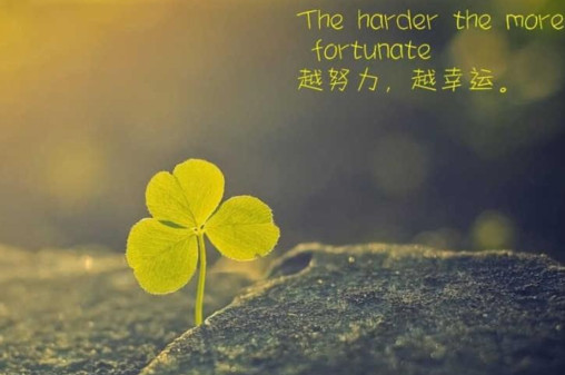 QQ图片20210127175154.jpg