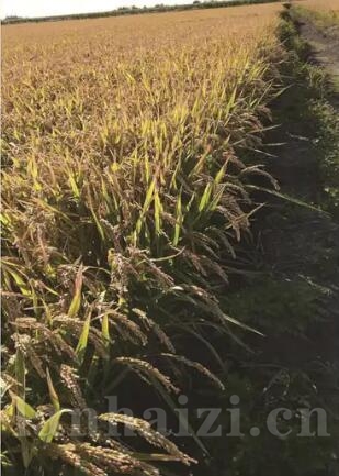 é???§?5??· ?23?¨?????§?