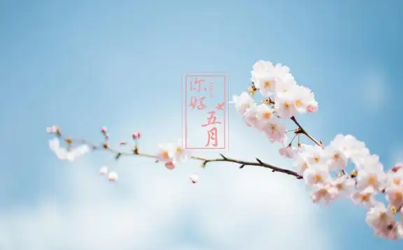 QQ图片20220516080402.png