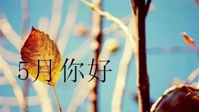 QQ图片20220519080538.png