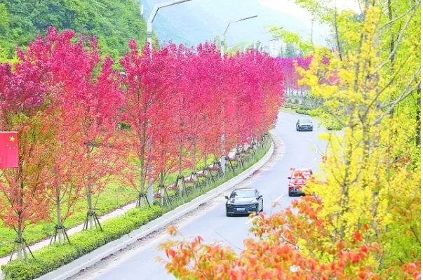 QQ图片20220526080835.png QQ图片20220526080835.png