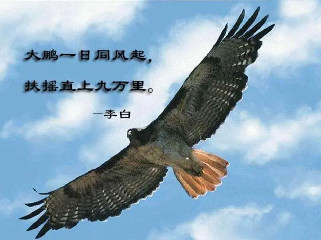 QQ图片20220916081550.png