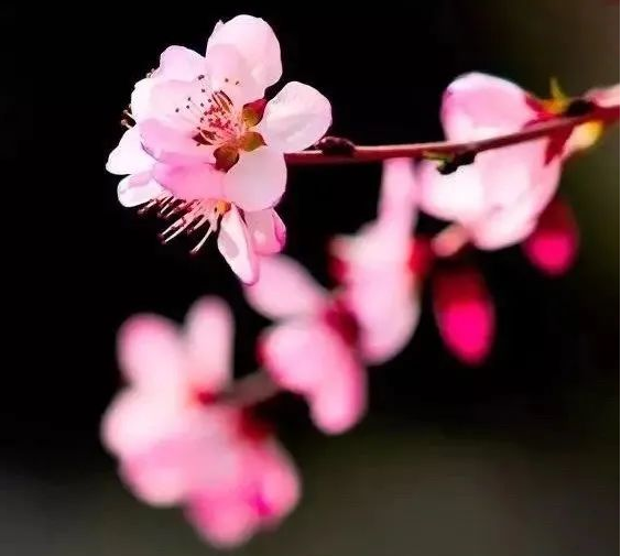 QQ图片20230201113138.png