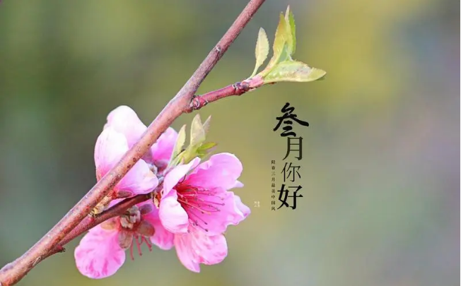 QQ图片20230310080308.png