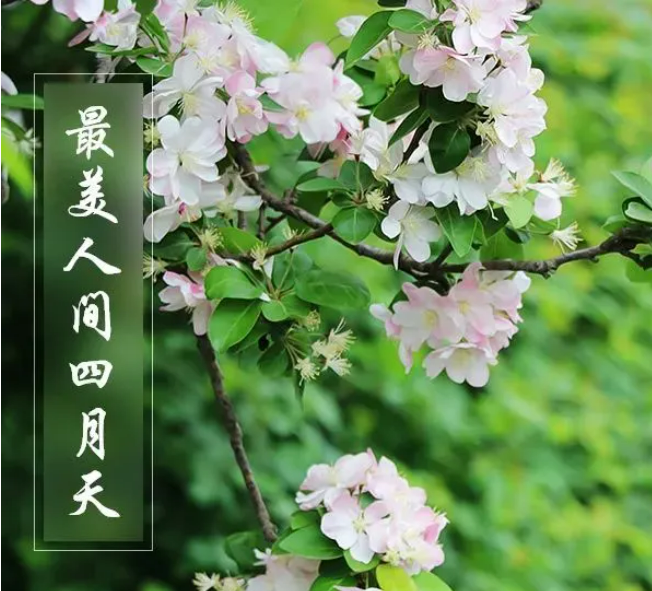 QQ图片20230403120409.png QQ图片20230403120409.png