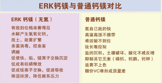 QQ图片20240913181348.png