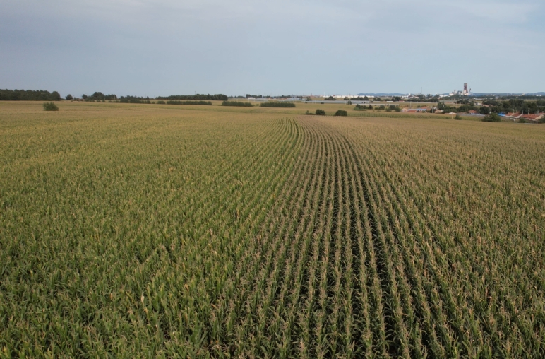 311e4ccdcff19f5a3a5d347293ee73fc_27090854421653.jpg 311e4ccdcff19f5a3a5d347293ee73fc_27090854421653.jpg