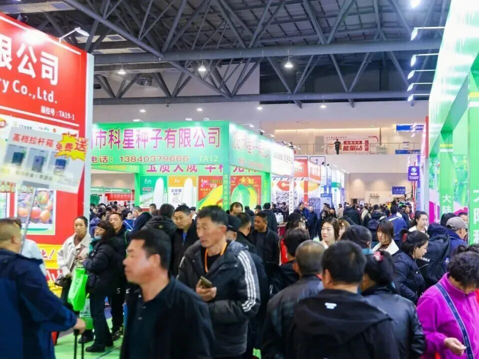 图片4.png 图片4.png