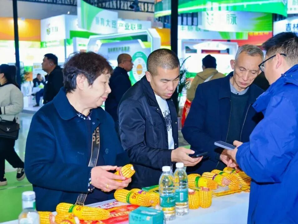 图片5.png 图片5.png