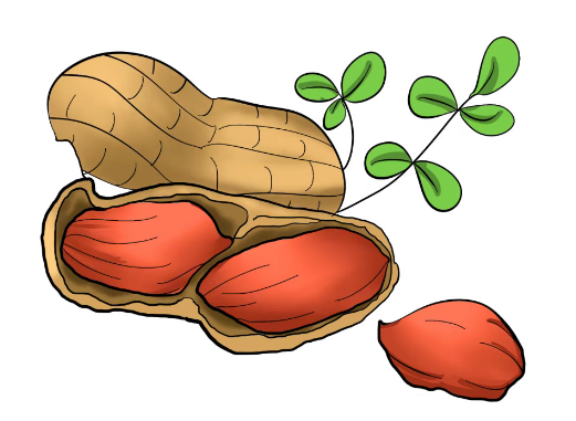image.png image.png