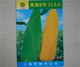 申彩糯2008——甜糯玉米