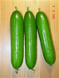 贝思塔——黄瓜