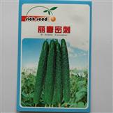 丽春密刺——黄瓜