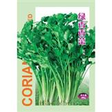 绿香香菜——其他