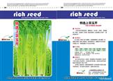 上农玉芹——其他