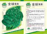 全球菠菜——其他