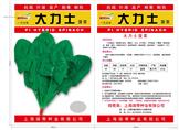 大力士菠菜——其他