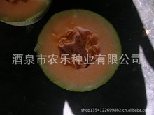 供应***品牌哈密瓜 天龙密25号甜瓜种子 酉州密25号 20g