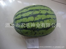 供应高抗病系列西瓜种子 新优二号 早熟 高产 抗病 耐运输 味甜