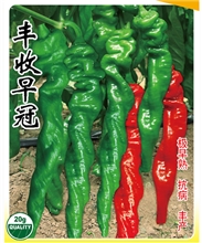 丰收早冠