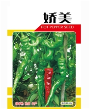 娇美