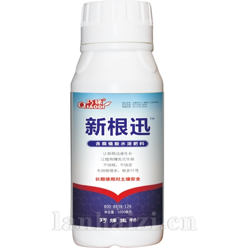 新根迅
