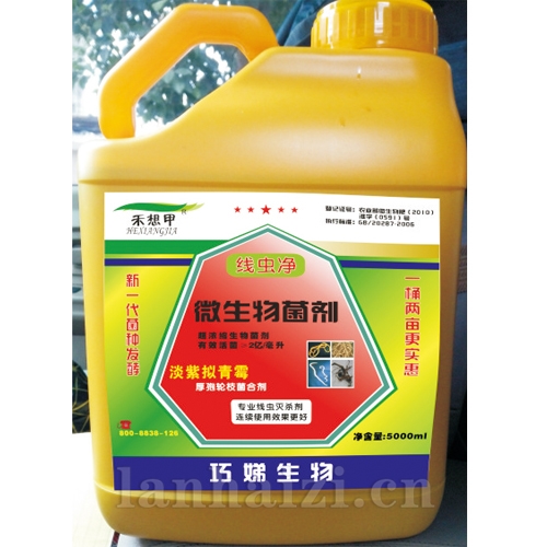 巧娣线虫净