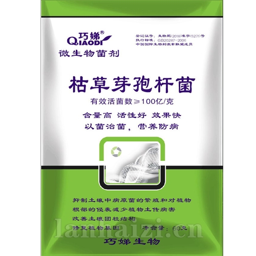 枯草芽孢杆菌